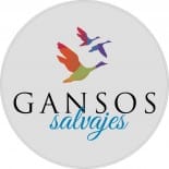 Gracias Mary Oliver por inspirarnos