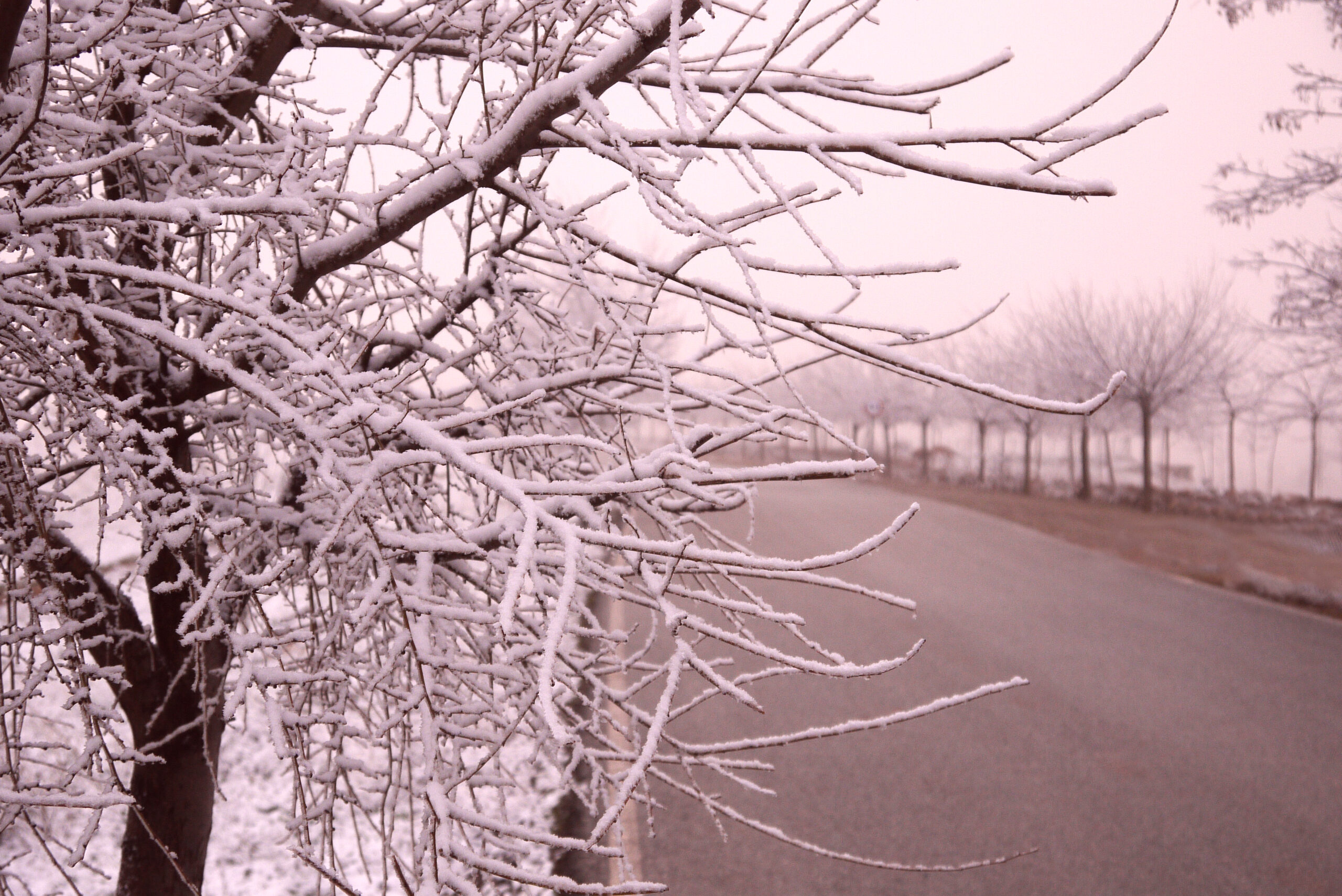 Foto: Marcela Castro