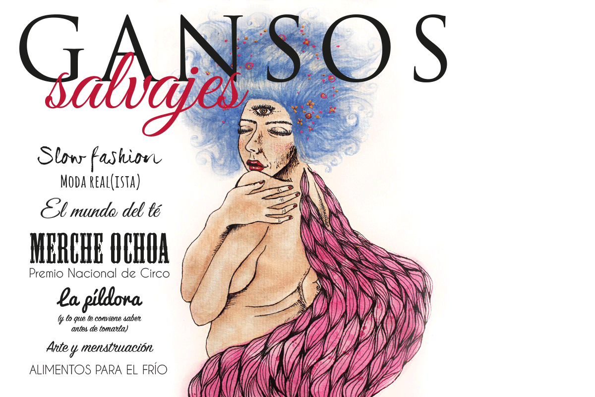 Nuevo número de Gansos Salvajes Magazine