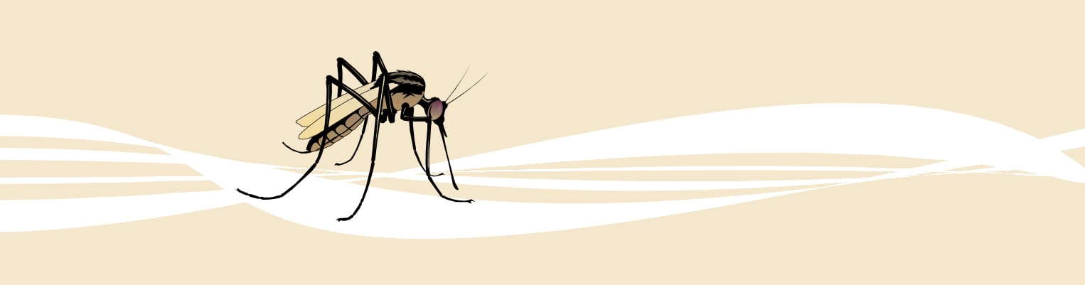 Cómo aliviar las picaduras con remedios naturales