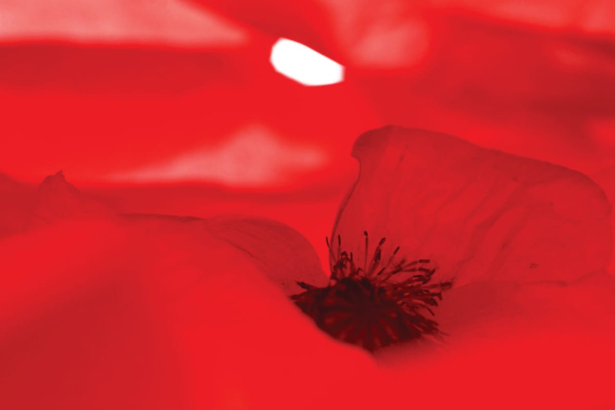 Hablar de sexualidad, es hablar de vida