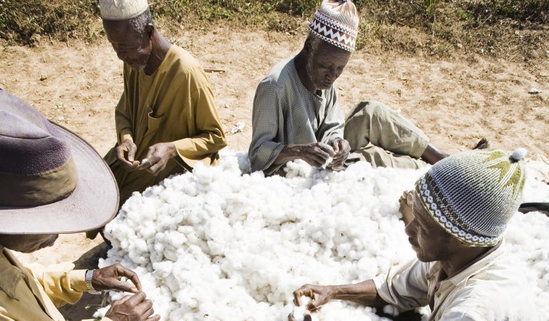 Cooperative and village of SANTAN KOUTOU .
This producer organization has been decertified as of 29.04.13