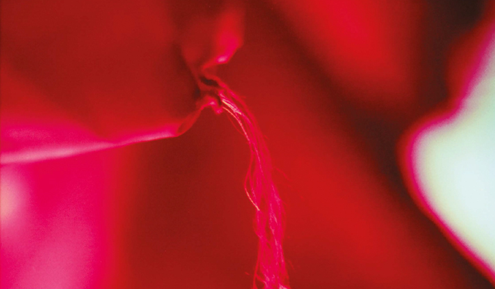 Ocupándonos del placer. Artículo Gansos Salvajes