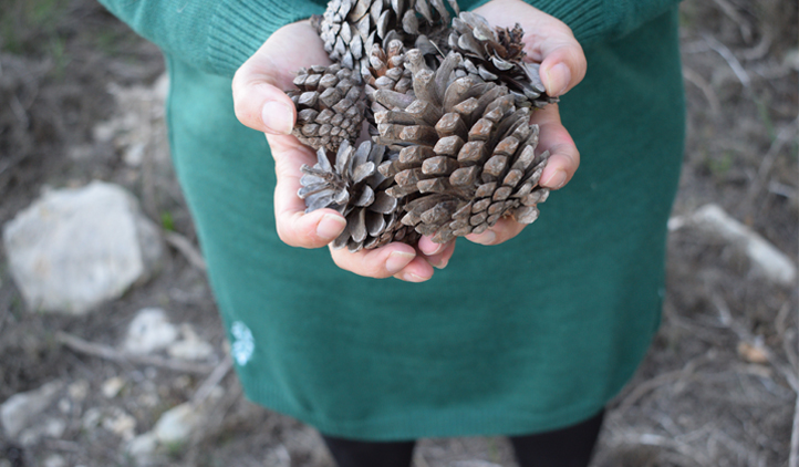 Feliz solsticio. El cuento de la naturaleza cíclica