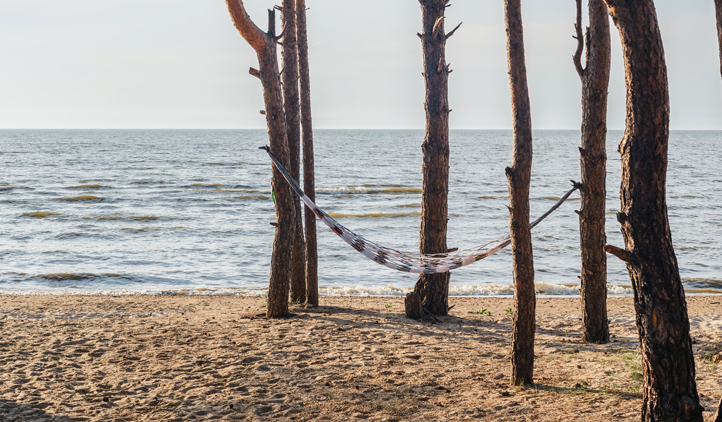 3 actividades para crecer y aprender en verano desde donde estés