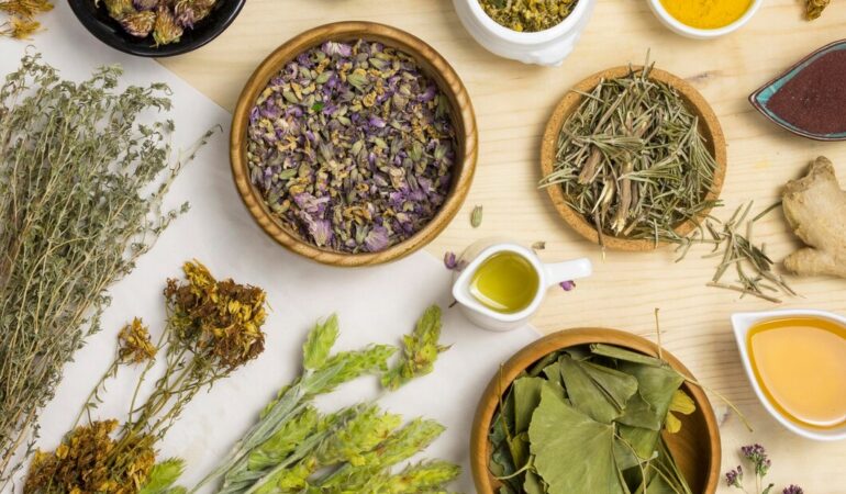 Top 13 hierbas medicinales y su impacto en el bienestar
